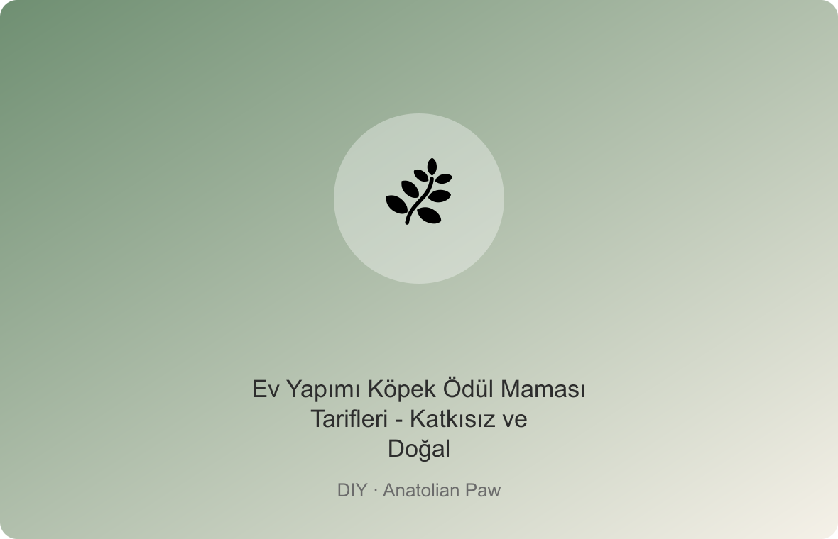 Ev Yapımı Köpek Ödül Maması Tarifleri - Katkısız ve Doğal