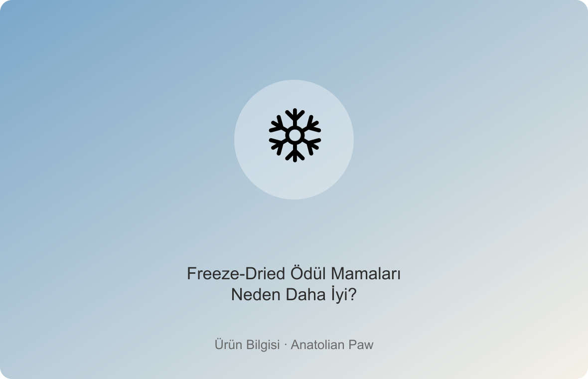 Freeze-Dried Ödül Mamaları Neden Daha İyi?