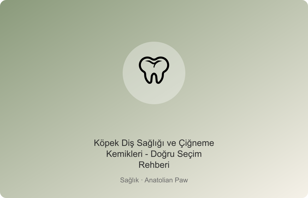 Köpek Diş Sağlığı ve Çiğneme Kemikleri - Doğru Seçim Rehberi