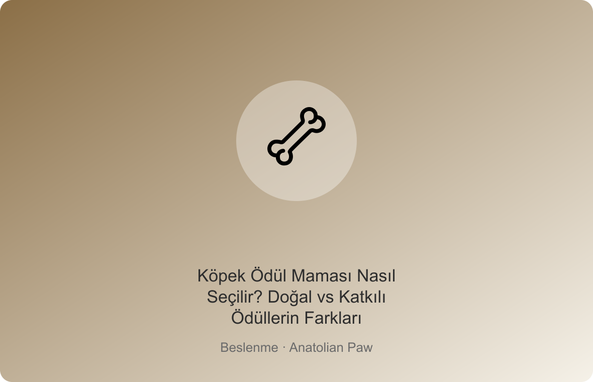 Köpek Ödül Maması Nasıl Seçilir? Doğal vs Katkılı Ödüllerin Farkları