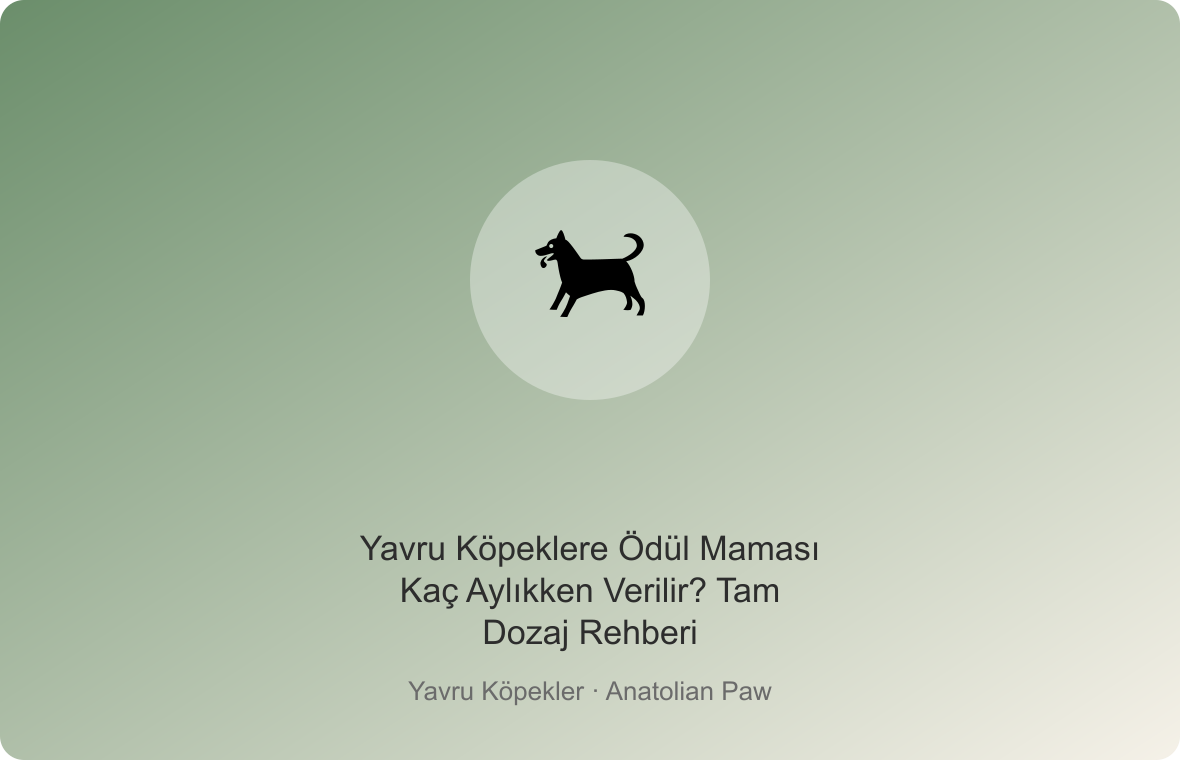 Yavru Köpeklere Ödül Maması Kaç Aylıkken Verilir? Tam Dozaj Rehberi